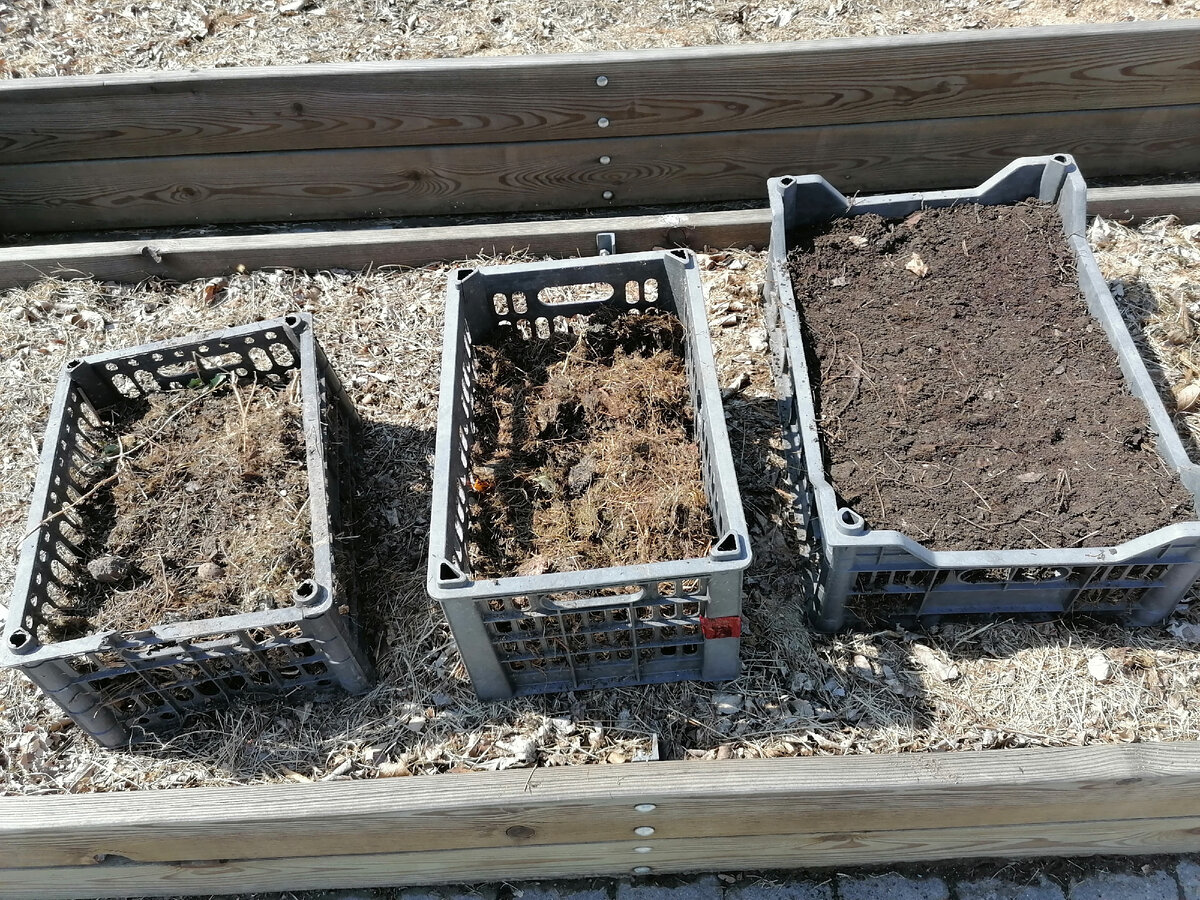 Фото из личного архива автора