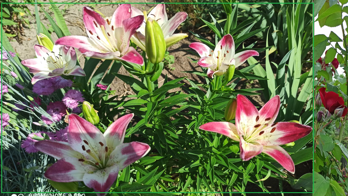 Ставьте  👍👍👍 и подписывайтесь на канал!!!