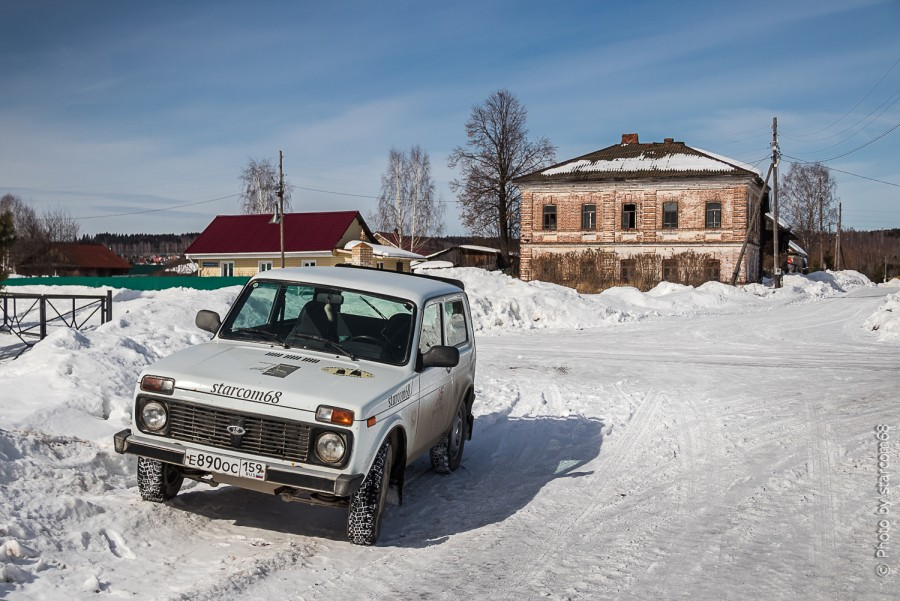 Белка на парковке в центре села Красная Слудка