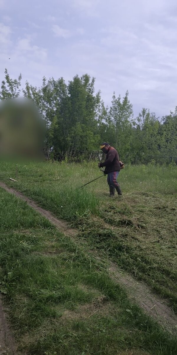 Скосили бурьян и перепахали весь участок