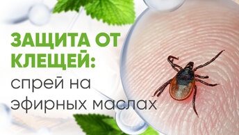 Защита от клещей и комаров натуральными средствами. Как сделать спрей с эфирными маслами.
