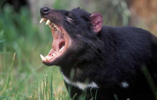 ФОТО: Василий КЛИМОВ