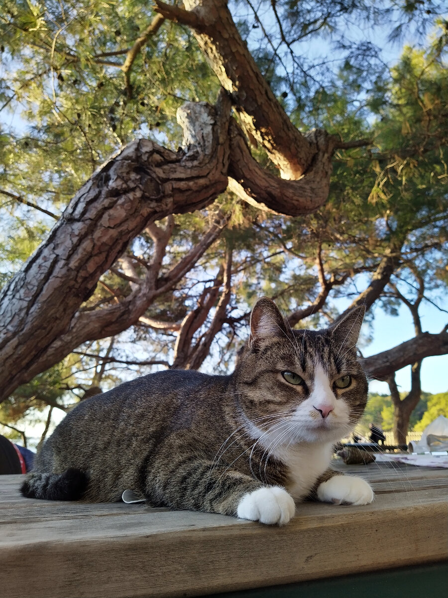 Наша главная героиня - Кисё