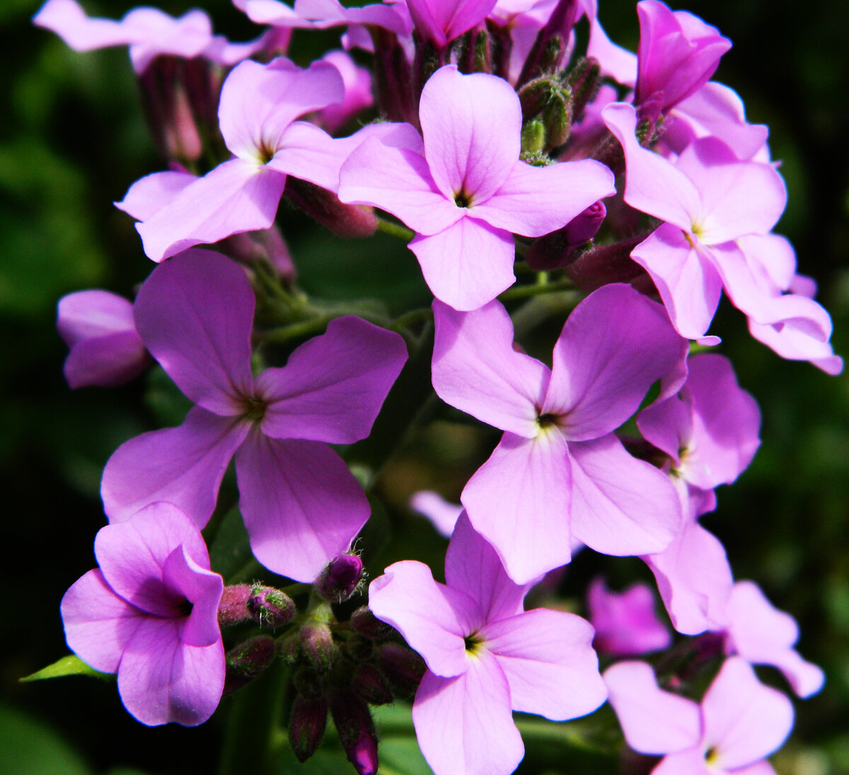 фото автора канала