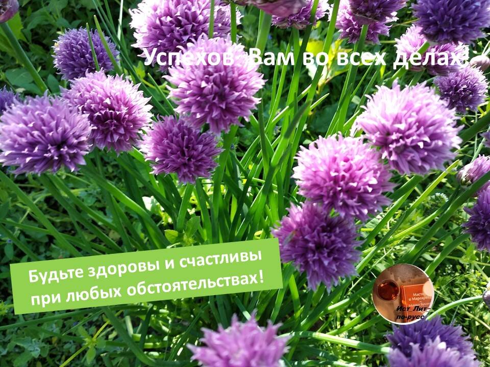 пожелания от автора