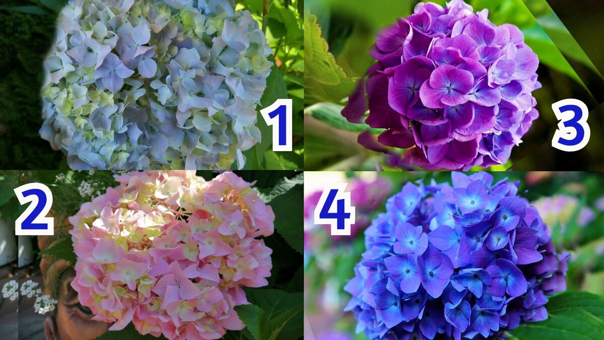 Тест по картинке