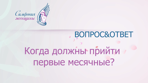 Пиометра у собак: признаки, симптомы и лечение