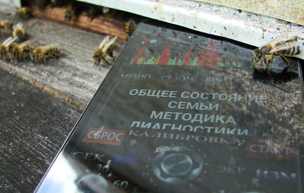 ВОЗМОЖНОСТЬ ПРОВЕРКИ УЛЬЯ БЕЗ ЕГО ОТКРЫТИЯ ЗА 15 СЕКУНДИспользуя наше приложение, которое превращает ваш смартфон в инструмент для акустического контроля семейств пчел, вы можете проверить состояние своих пчел, не открывая улей и не нарушая спокойствие пчел. Даже самые агрессивные пчелы будут продолжать свою работу, не обращая на вас никакого внимания. Особенно полезно это для тех, у кого пасека находится вблизи жилья или в населенном пункте.