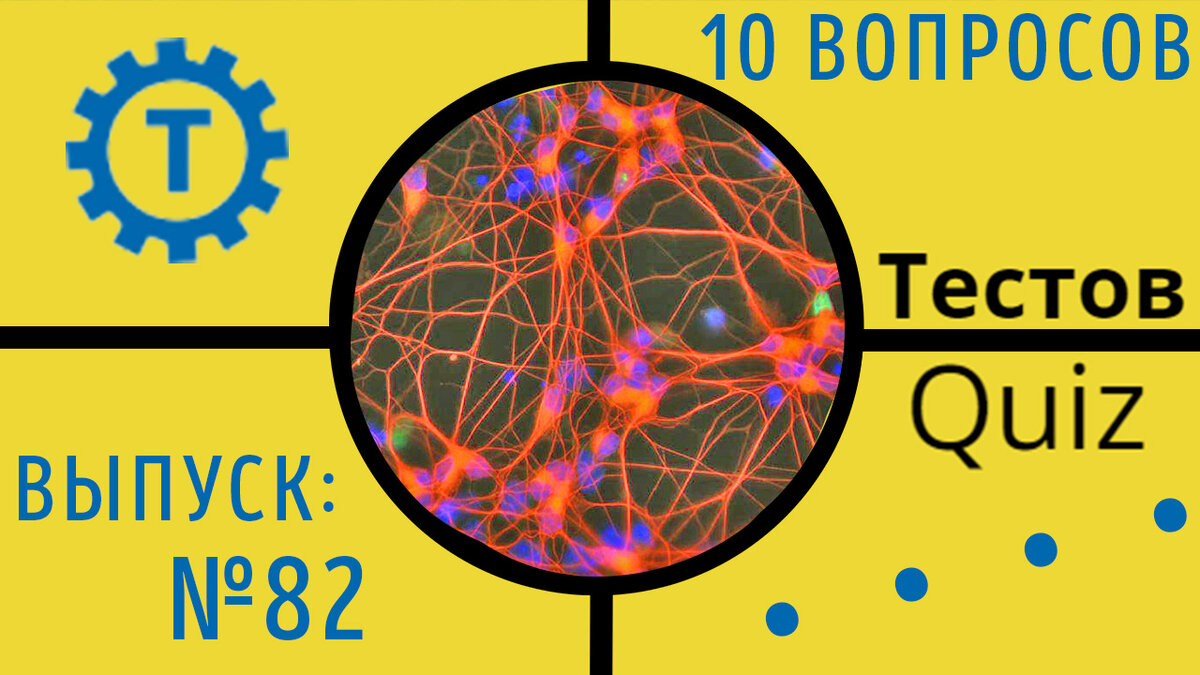 Как выглядит твоя душа тест quiz