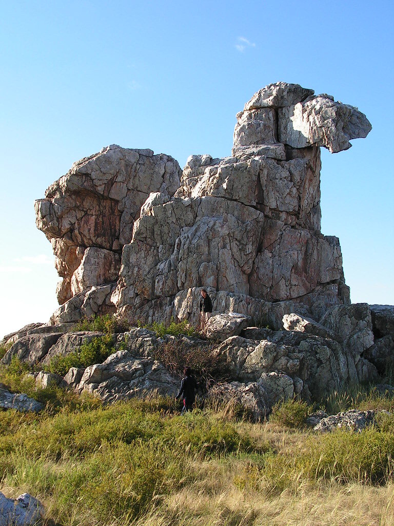 На горе стоял верблюд