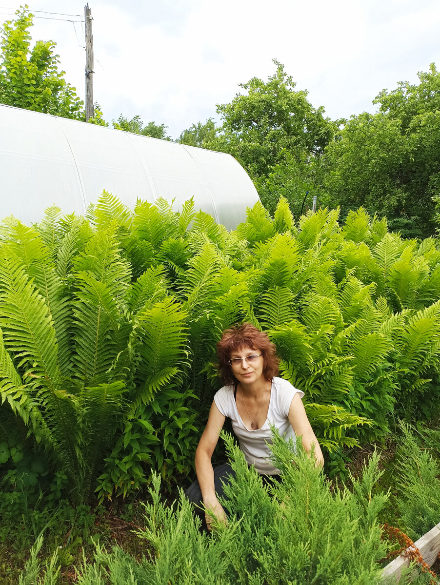 Конечно, я тут не в полный рост. Я всё-таки их выше. Чуть-чуть. Высота некоторых экземпляров минимум 1,5м!