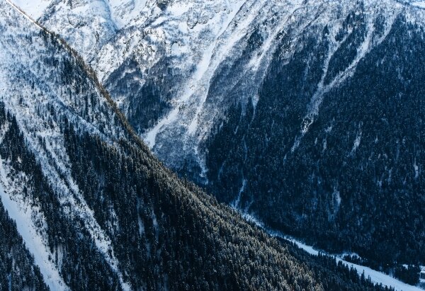 фото РИА Новости