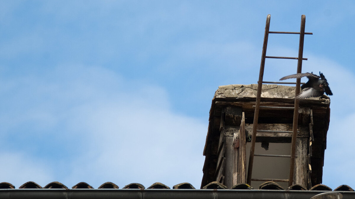    Чердак на крыше дома© РИА Новости . Александр Вильф