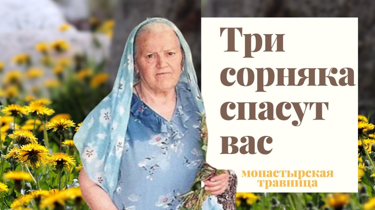 Монастырская травница е.ф. Зайцева.