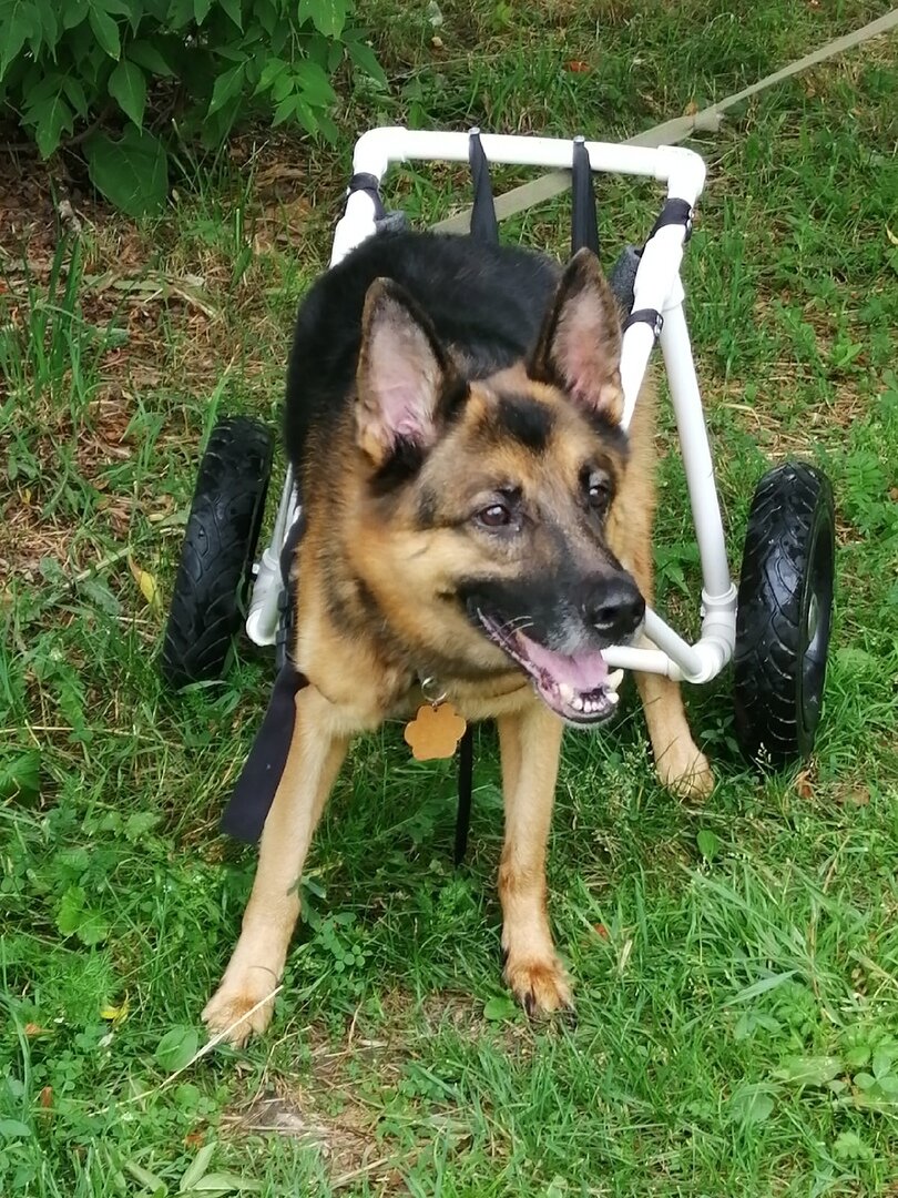 Флеш на коляске