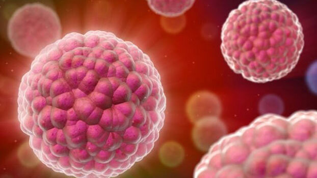 Вирус папилломы человека