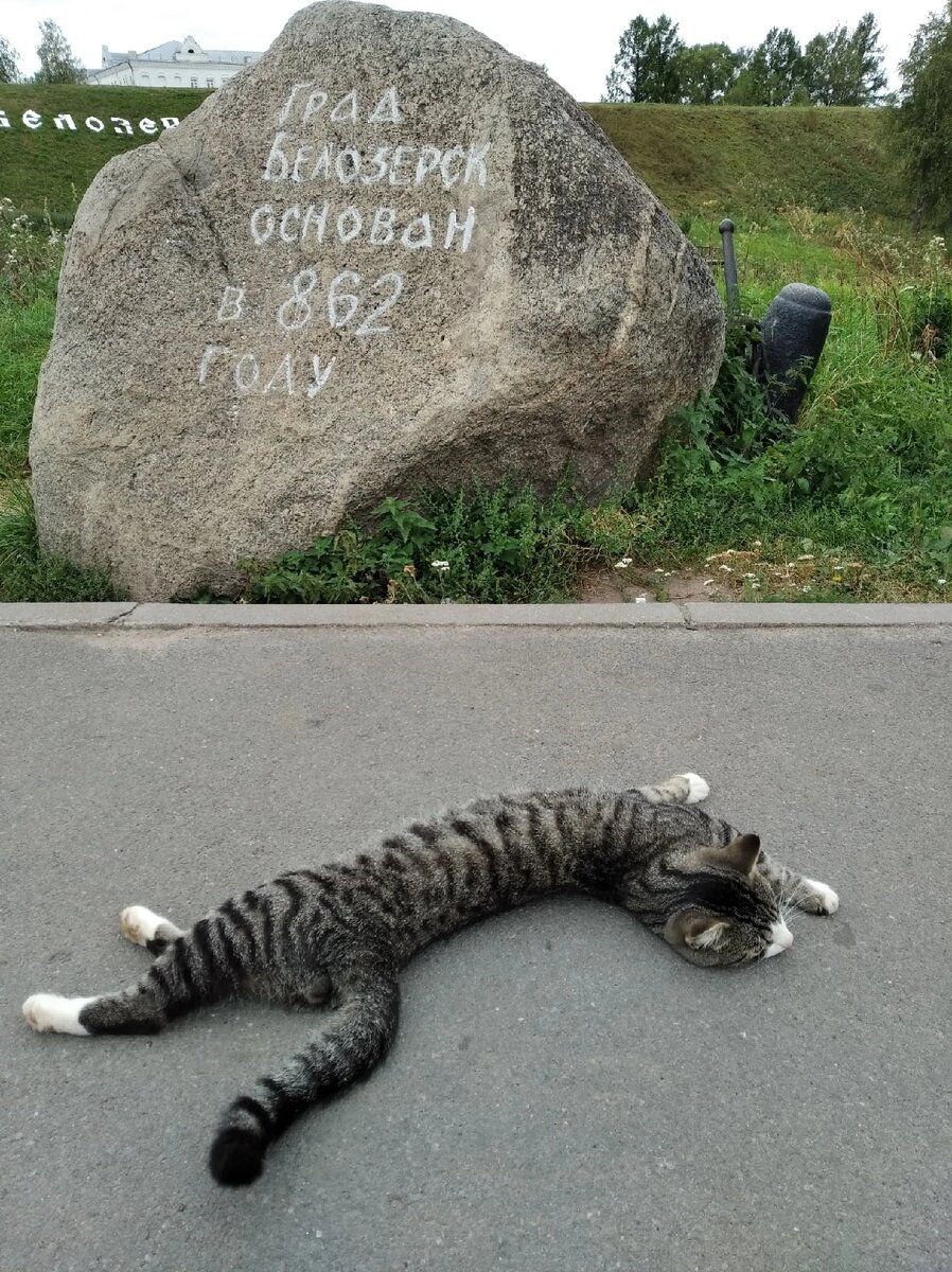 И жить уже намного веселее без сырости...