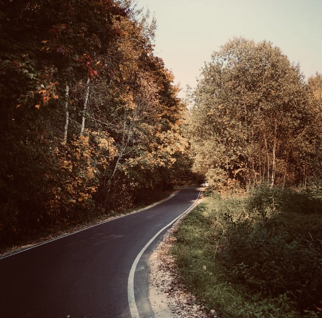 Все права на фото и стихотворение принадлежат автору. Запрещается копирование, распространение или любое иное использование информации и объектов авторского права без предварительного согласия правообладателя