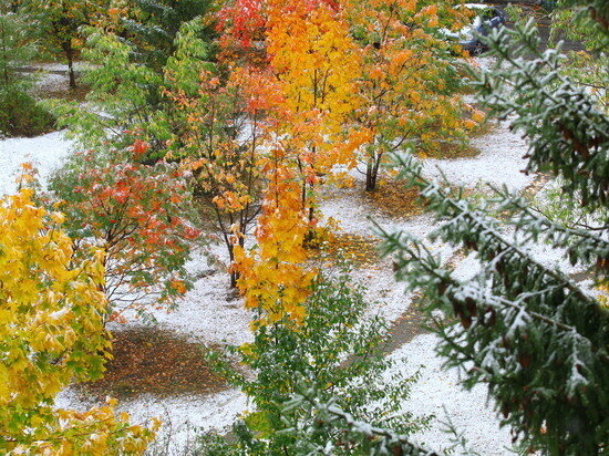    Фото Юлии Боровиковой