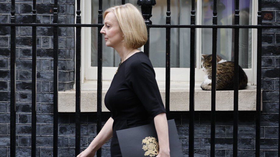 Фото: TASS / EPA / TOLGA AKMEN