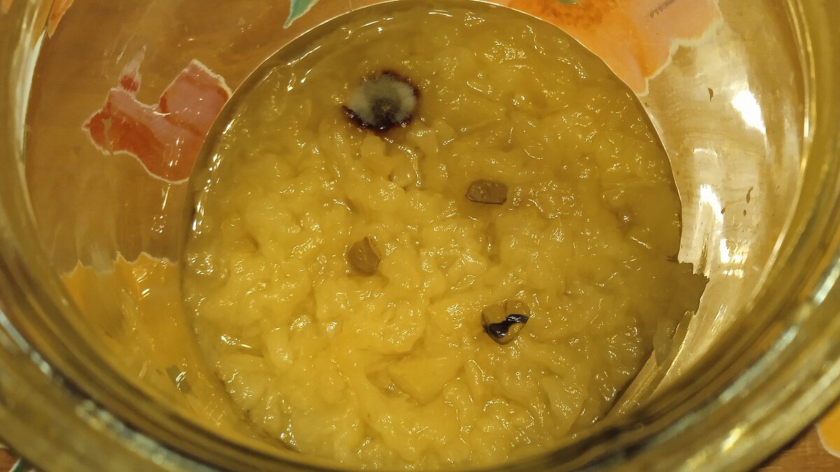 1 ноября 2022 года. Из одной крупинки что-то растёт