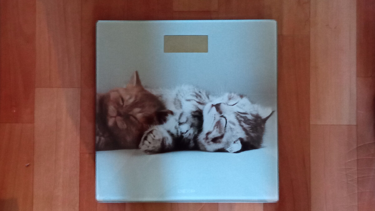 Весы DEXP, электронные