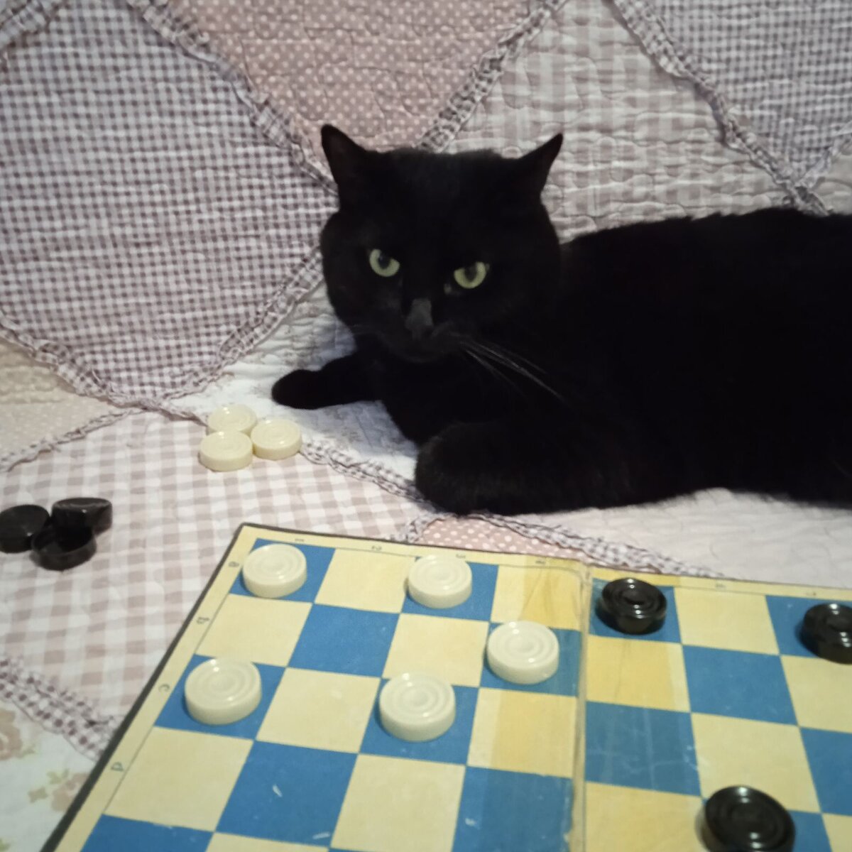 Фото автора 