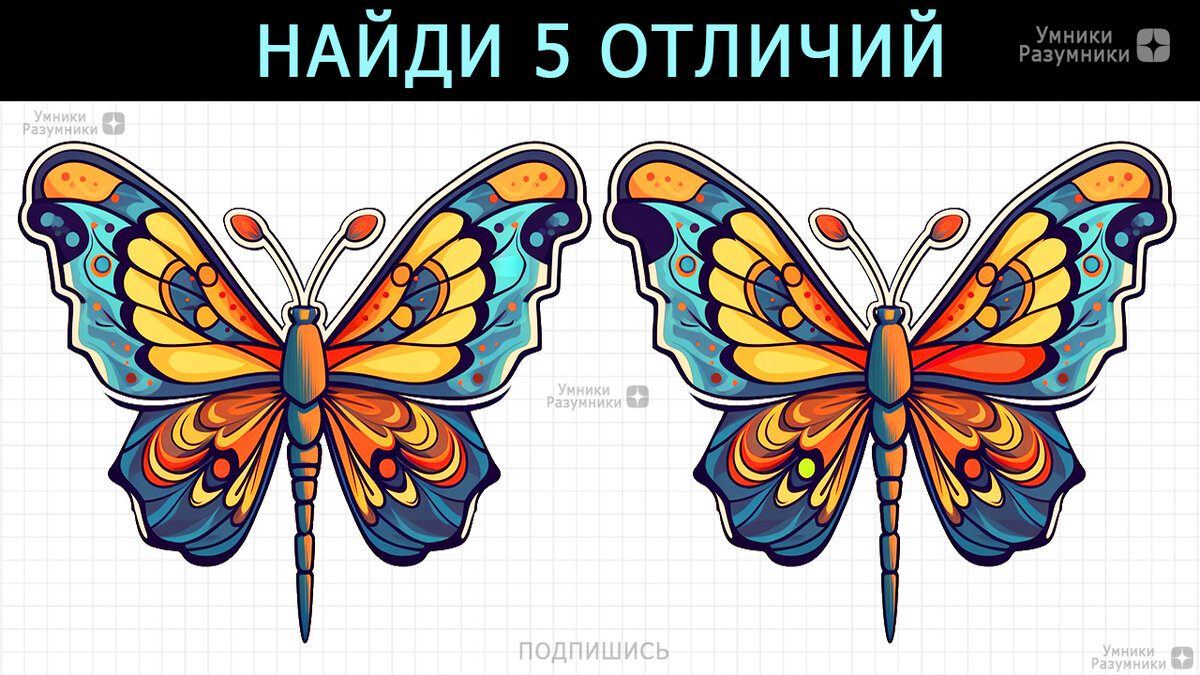 Найди 5 отличий