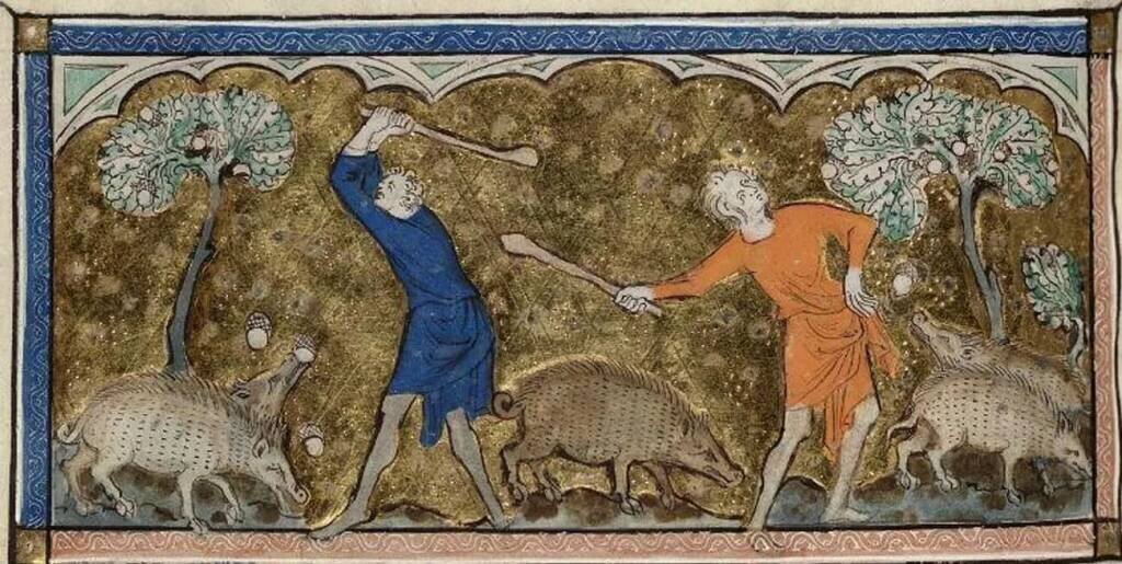 Это свинопасы, которые пытаются вот так вот управлять свиньями. Которые, в свою очередь, не самые послушные животные