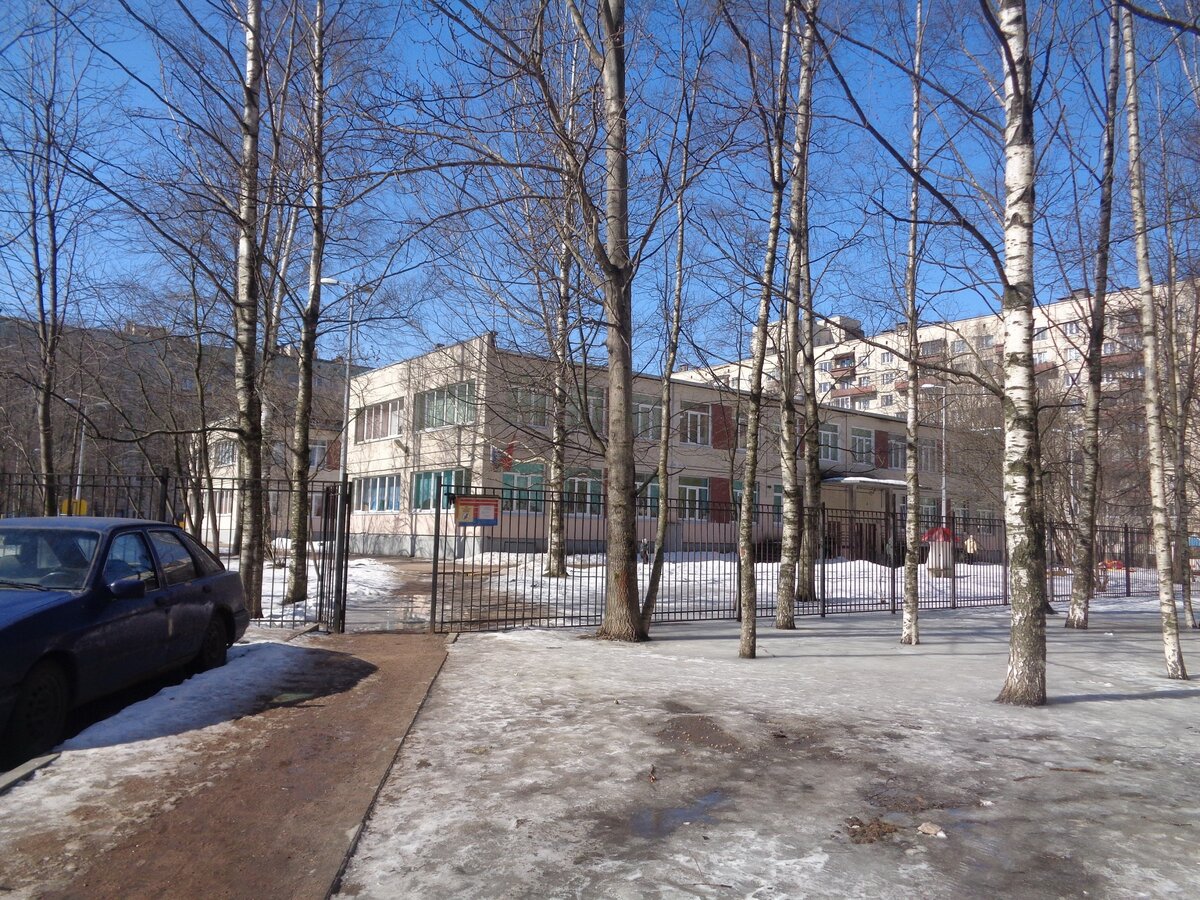 257 школа колпино. школа 53 приморского района санкт-петербурга. школа 59 приморского района санкт-петербурга. школа №186. гбоу сош 184 калининского района.