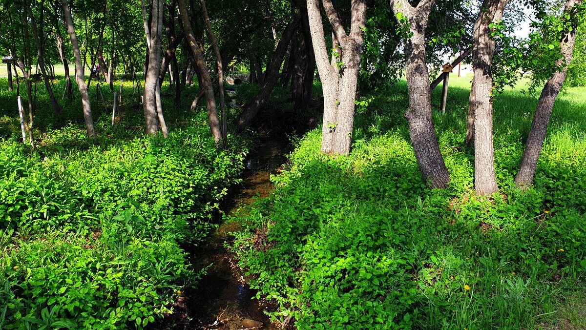     Начальная цена контракта — почти 3 млн рублей.