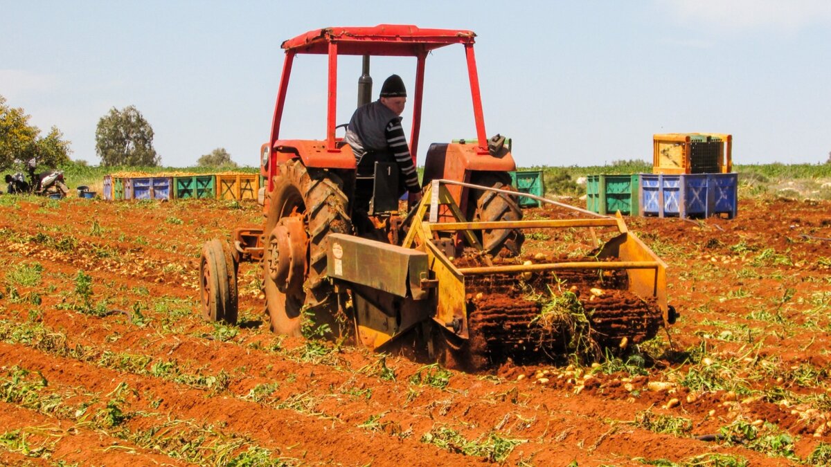     Самой высокооплачиваемой вакансией в Ростовской области в сентябре стал менеджер по продаже сельхозтехники, следует из исследования Superjob.