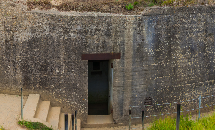  Источник фото: canva.com (приобретенная лицензия) 