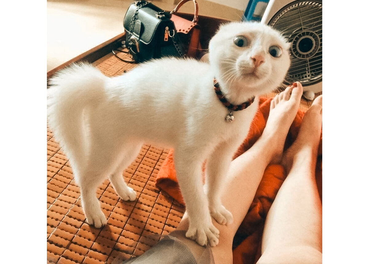 фото взято из свободных интернет-источников