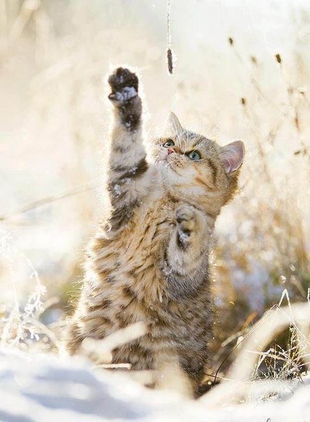  Так, что я тренируюсь и буду…