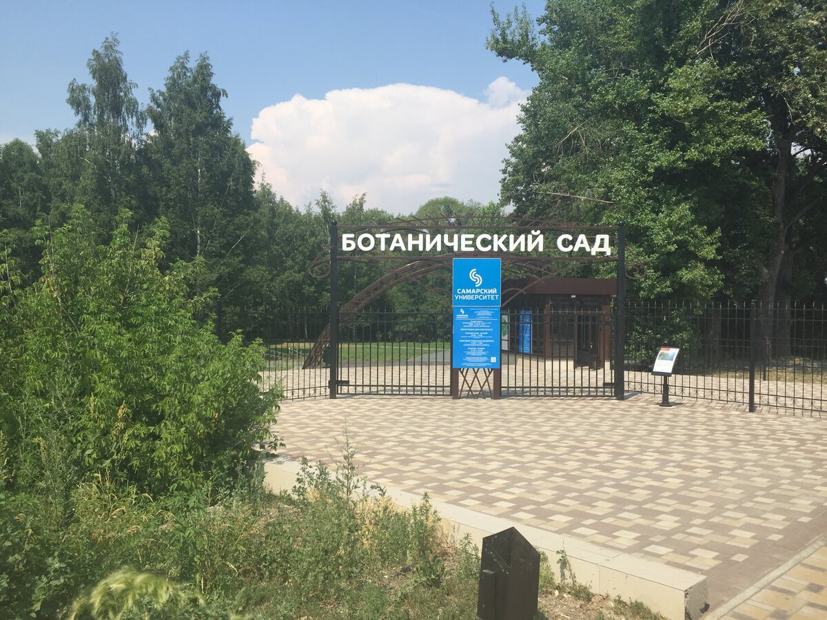 План ботанического сада самара