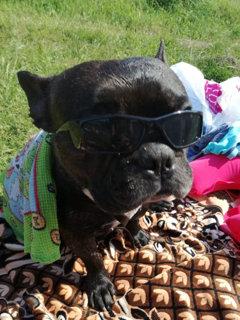 Фото автора истории. 