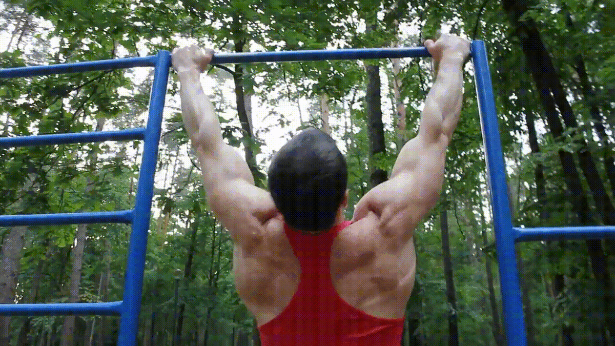 Видео с канала YouTube: Алексей Шреддер