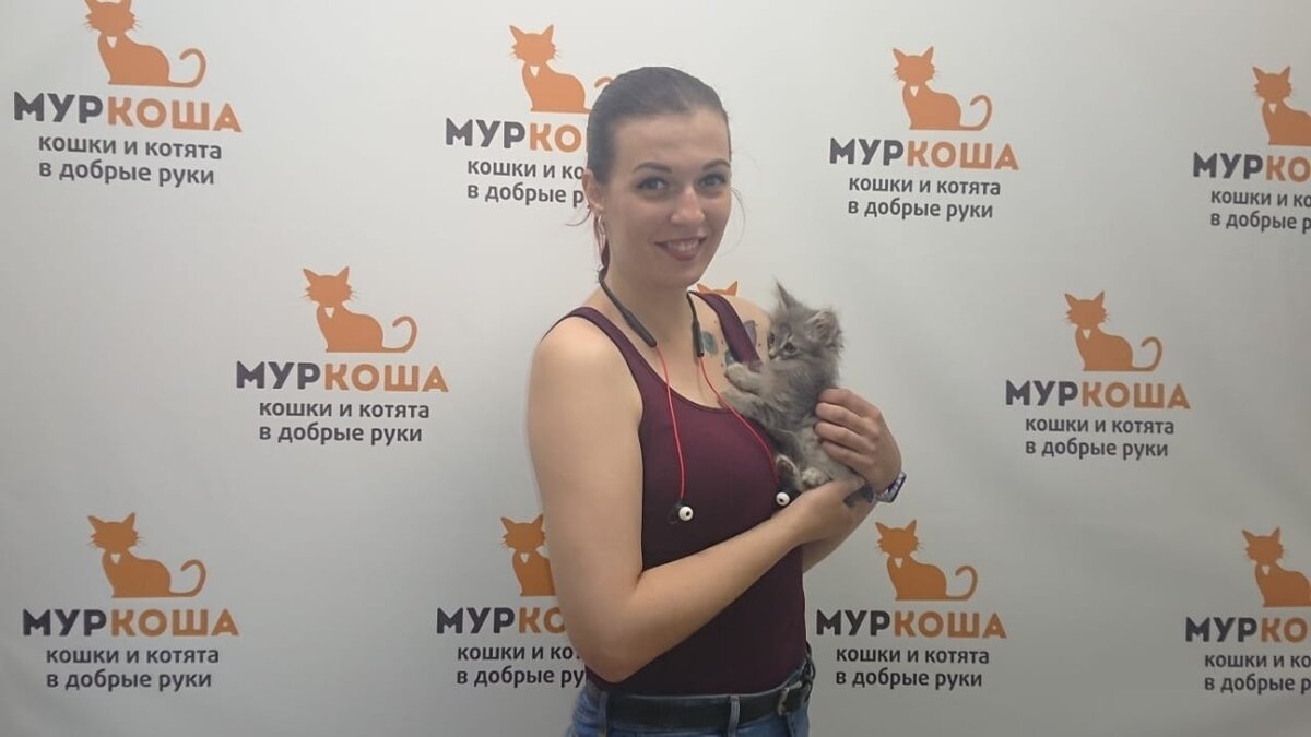 Спустя три недели в приюте, Корнет отправляется в новый дом, а его братик Гусар и сестрички Наташенька и Наденька все еще ждут своих будущих хозяев. Поторопитесь! 