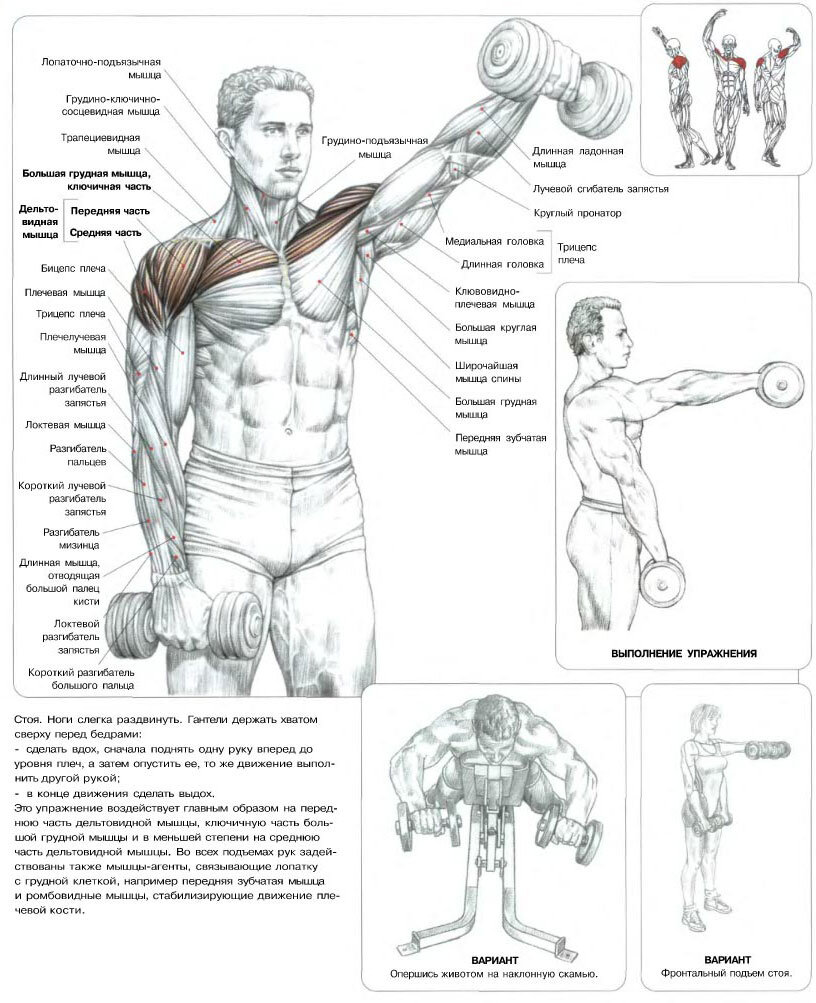 Картинка описывающая технику выполнения и вид упражнения