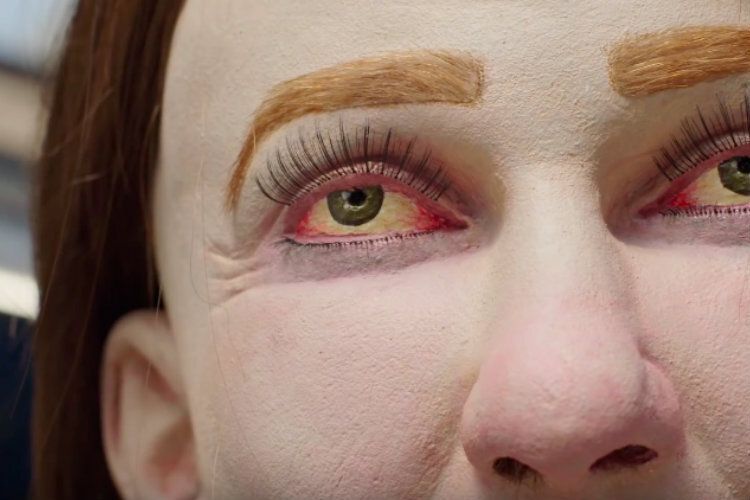 Фото: YouTube / Fellowes Brands