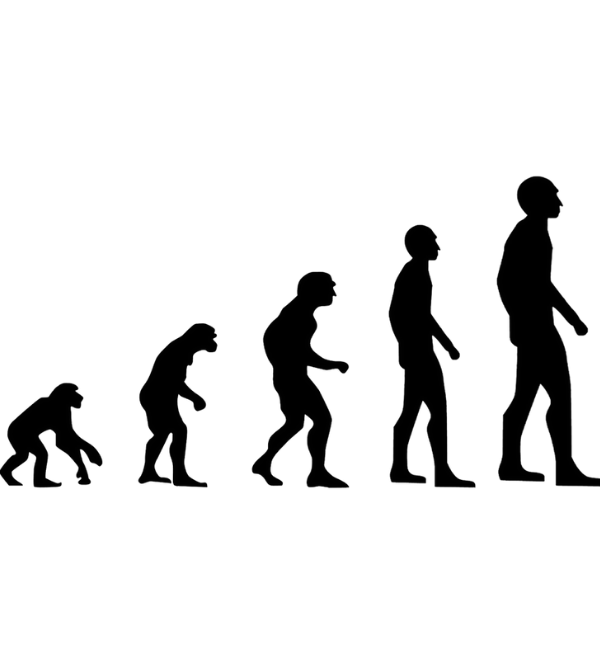https://pixabay.com/ru/illustrations/%D1%8D%D0%B2%D0%BE%D0%BB%D1%8E%D1%86%D0%B8%D1%8F-%D1%80%D0%B0%D0%B7%D0%B2%D0%B8%D1%82%D0%B8%D0%B5-%D0%B2%D0%BF%D0%B5%D1%80%D0%B5%D0%B4-%D0%B4%D0%B0%D1%80%D0%B2%D0%B8%D0%BD%D0%B0-3543775/