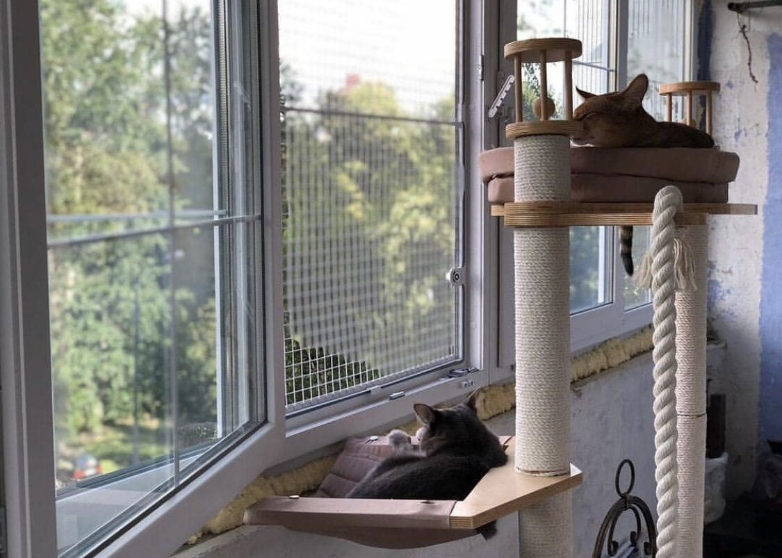 Балкон для кошек купить. Ограничитель антикошка на вертикальное проветривание. Сетки антикошка для вертикального проветривания. Решетка на окно для кошек. Защита на окна для кошек.