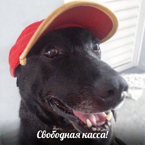 Мне пожалуйста бургер,пиццу и коллу!