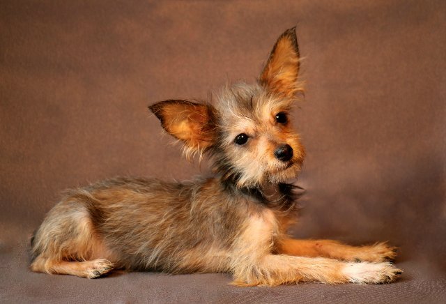 Фото  из интернета 