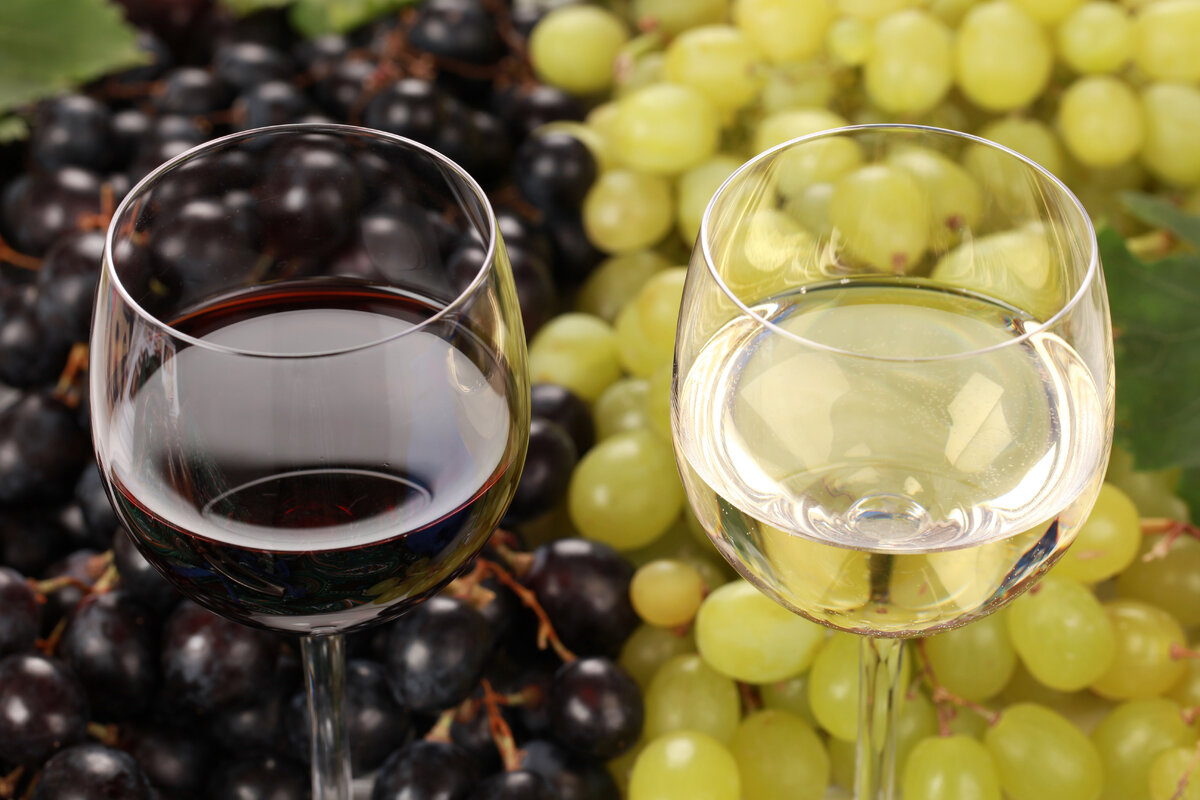 Вино из боярышника ❤️ - Рецепты плодово-ягодных вин