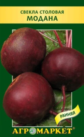 Сорта желтой свеклы: список сортов с описаниями, отзывами и фото - полный гид