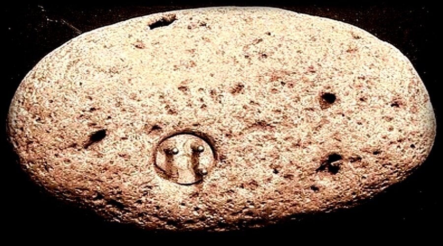 Фото из открытых источников.