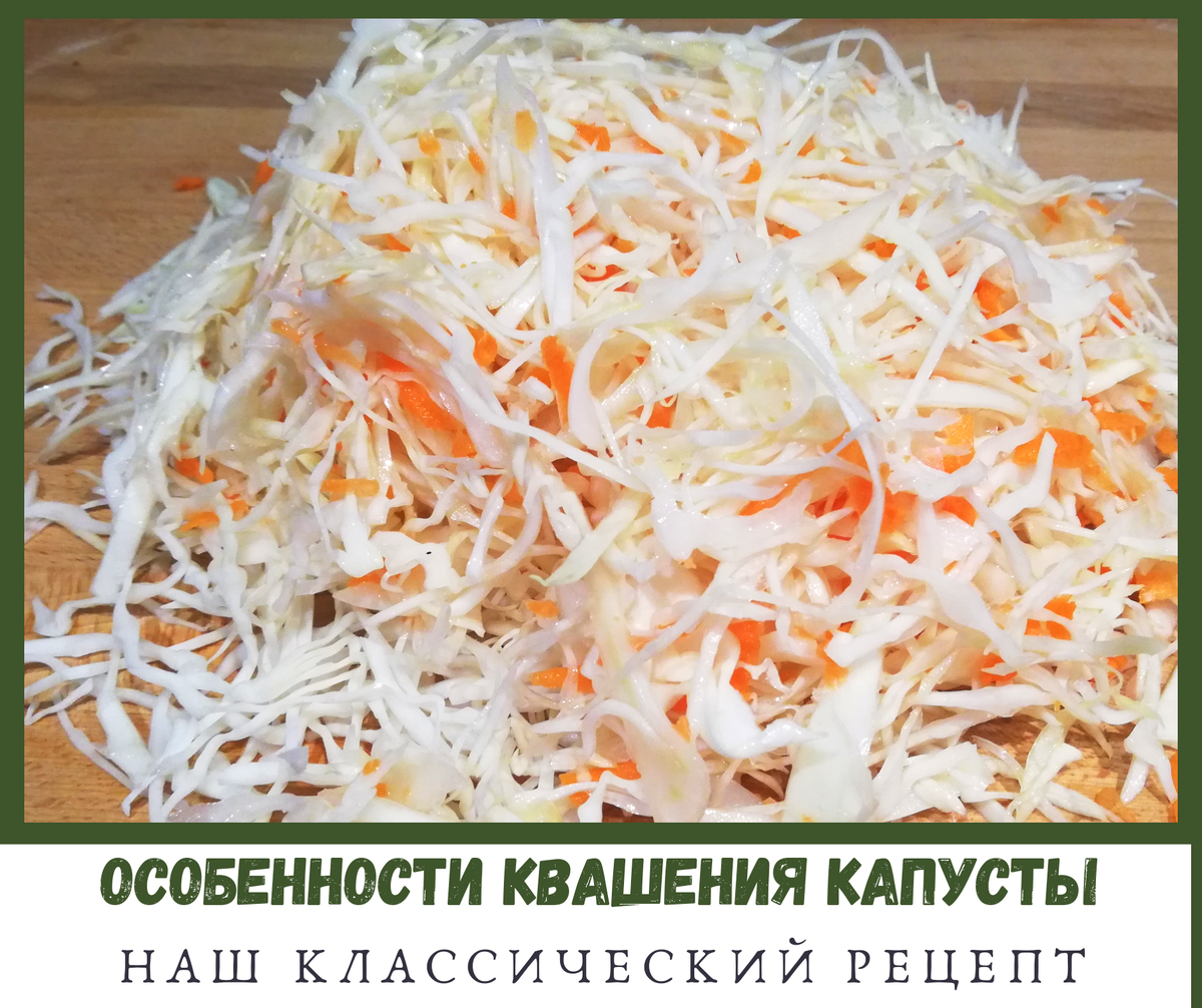 💚Помню с детства, как только наступали холода, в один из воскресных дней мы всей семьей принимались за засолку капусты
🏡 Квашеную капусту мы всегда любили, заквашивали её в больших объёмах, поэтому это мероприятие было увлекательным
🔝Про пользу капусты в квашеном виде для иммунитета и здоровья организма нам уже хорошо известно. Отметим, что только правильно заквашеную капусту можно оценить по достоинству и назвать "ВИТАМИННОЙ БОМБОЙ"🏆
.
💚Поделимся нашим классическим рецептом,  учитывая некоторые особенности при закваске, чтобы получилась традиционная квашеная капуста, которую мы помним с детства
👩‍🍳Для КВАШЕНИЯ на 3л банку понадобится ✔️КАПУСТА идеальная, в среднем 1-2 кочана, средних или поздних сортов, плотная, с белыми листьями, с короткой кочерыжкой
✔️СОЛЬ крупного помола, только не йодированная❗, примерно 2-3 столовых ложек
✔️МОРКОВЬ сочная, средняя  4-5шт
✔️Сахар по необходимости и добавляем только для ускорения брожения, на 1 кг капусты пол чайной ложки
👩‍🍳Овощи почистить, нашинковать капусту в среднем толщиной 5 мм, чтобы в результате получилась хрустящей, а не мягкой
👩🏻‍🍳Капусту смешать с солью аккуратно, чтобы сок не пошёл  раньше времени, и начинать выкладывать в банку, уплотняя  скалкой или другим удобным инвентарем. Оставляем в тепле, накрыв марлей, оптимальная температура в помещении 18-22°С. Через несколько часов сок должен полностью покрыть капусту
👩‍🍳Капуста в тепле бродит обычно 3 суток, она увеличивается в объёме, начинают работать бактерии, выделяется пена и газы. Проверяем на вкус, если не готова, то оставляем ещё на пару дней в тепле. Желательно прокалывать деревянной палочкой до самого дна,  так мы выпускаем газы, чтобы убрать горечь. Удаляем пену, чтобы не развивались ненужные бактерии
👩‍🍳Когда капуста поменяет цвет, и газы реже начнут выделяться, значит началось основное брожение. Самое время убрать  в холодильник или в холодное помещение температурой 2-4°С до окончания брожения(ещё примерно 2-3дня), так она будет хрустящей, с приятным солоновато-винным вкусом
.
💚И вот наша капуста готова. Смешиваем с маслицем и лучком...можно в винегрет, в щи, в пироги... Настоящая витаминная бомба!
.
А Вы любите квашеную капусту❓
