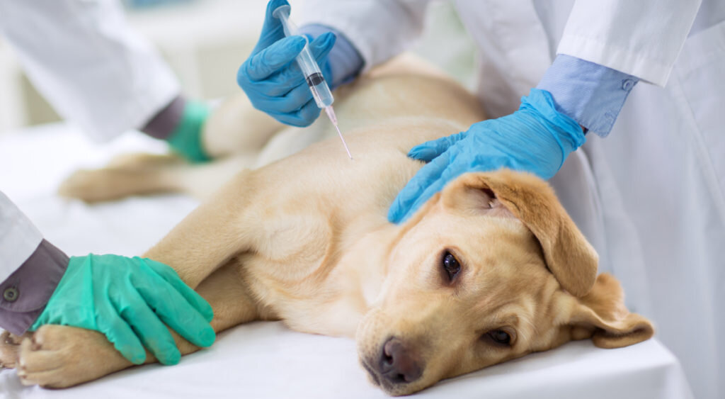 картинка из яндекса